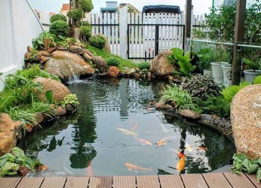 BIOFISH KOI- Chai Vi Sinh làm trong nước bể cá