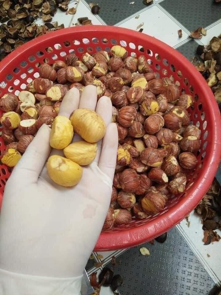 HẠT DẺ TƯƠI BÓC SẴN [ 500gr ]