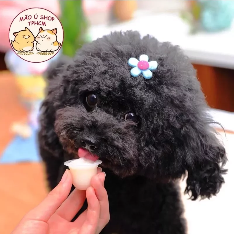 PUDDING SỮA DÊ VIÊN 15g- THẠCH RAU CÂU CHO CHÓ MÈO