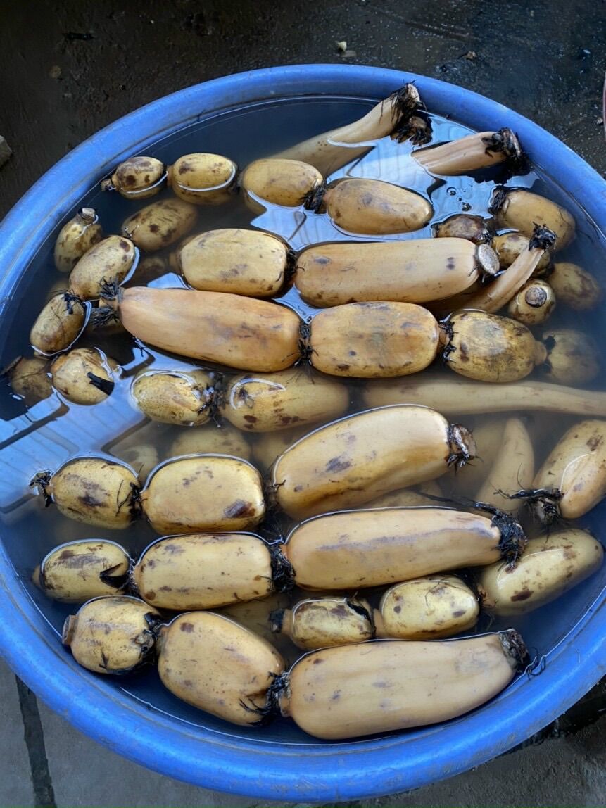 Hạt sen Phố hiến 500g