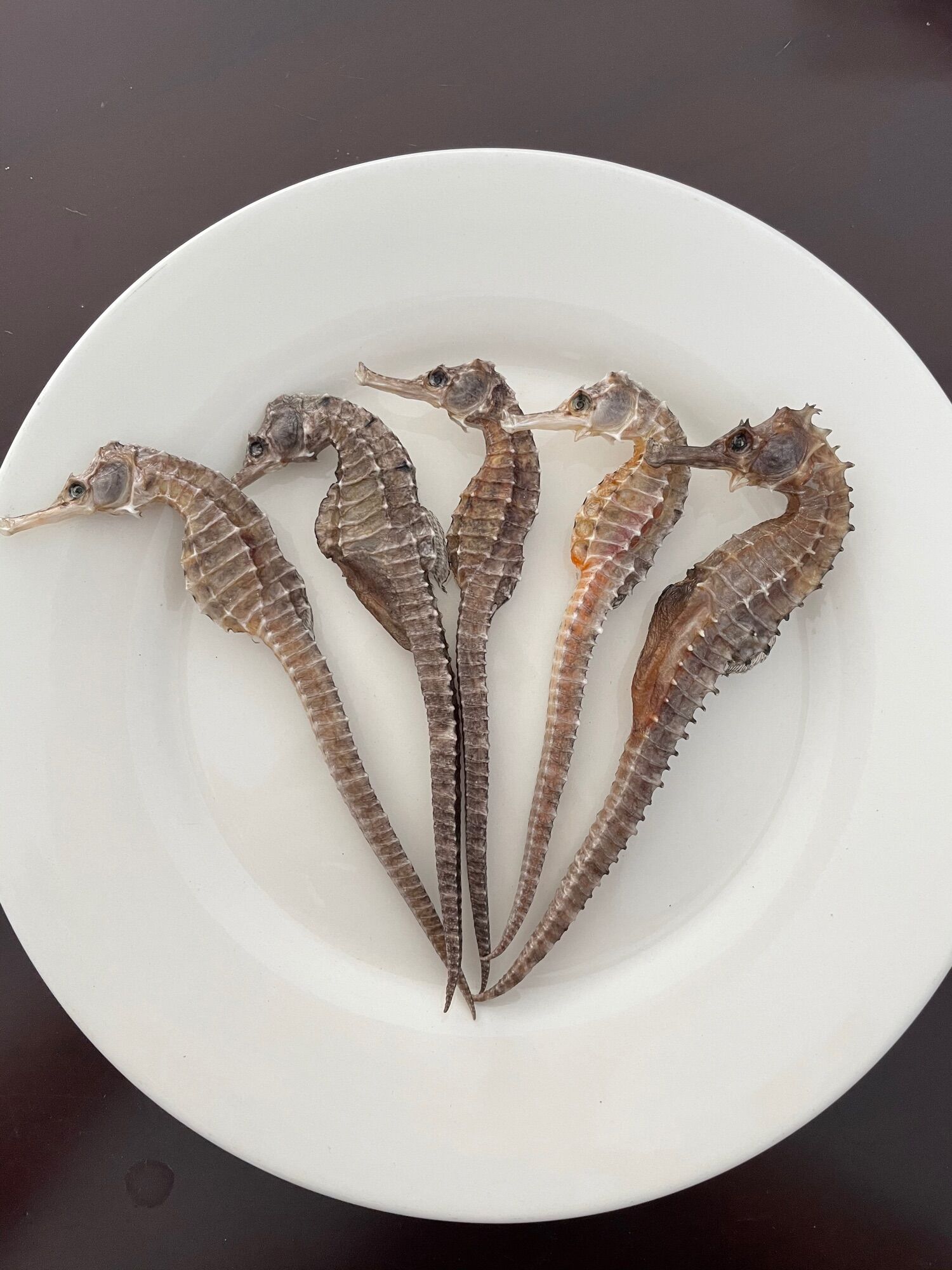 5 con cá ngựa khô size 11-13cm