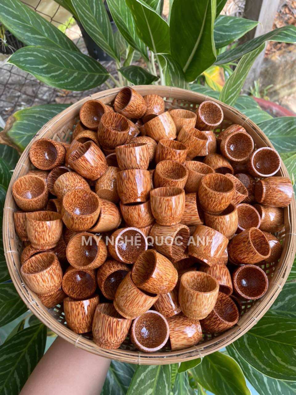 Ly uống rượu gỗ dừa