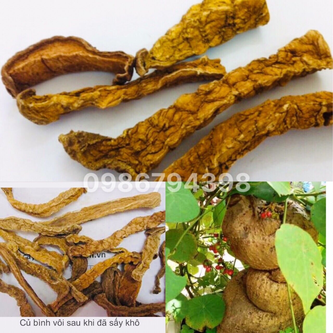 Củ bình vôi khô loại 1 đẹp 1kg