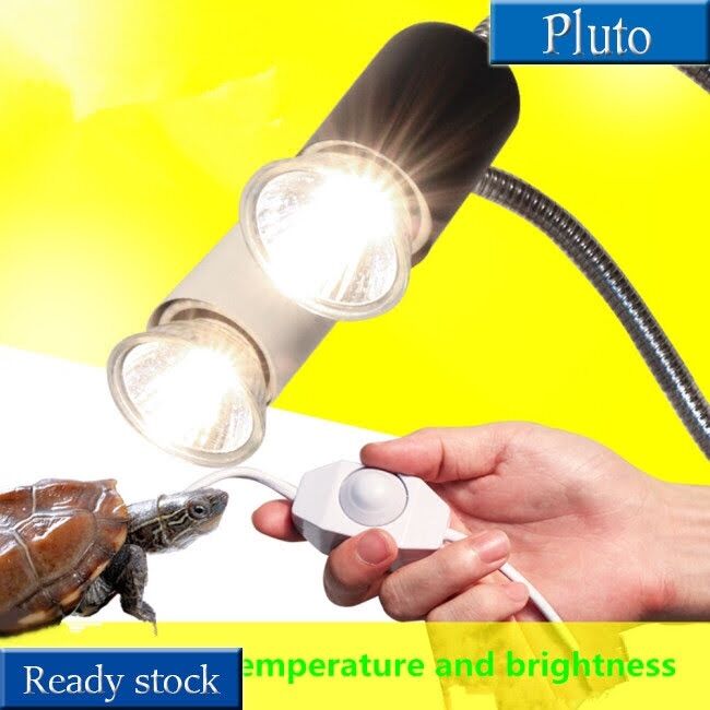 Bộ đế sưởi đèn cho rùa thú cưng Heating Light Holder