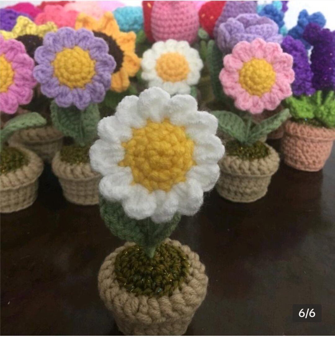 Chậu hoa cúc mini bằng len handmade