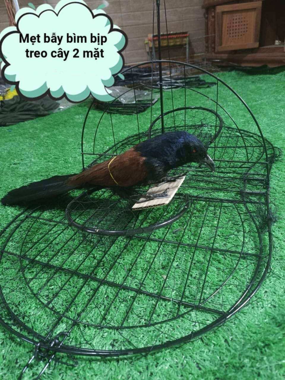 mẹt bịp 2 mặt ( bẫy bìm bịp)