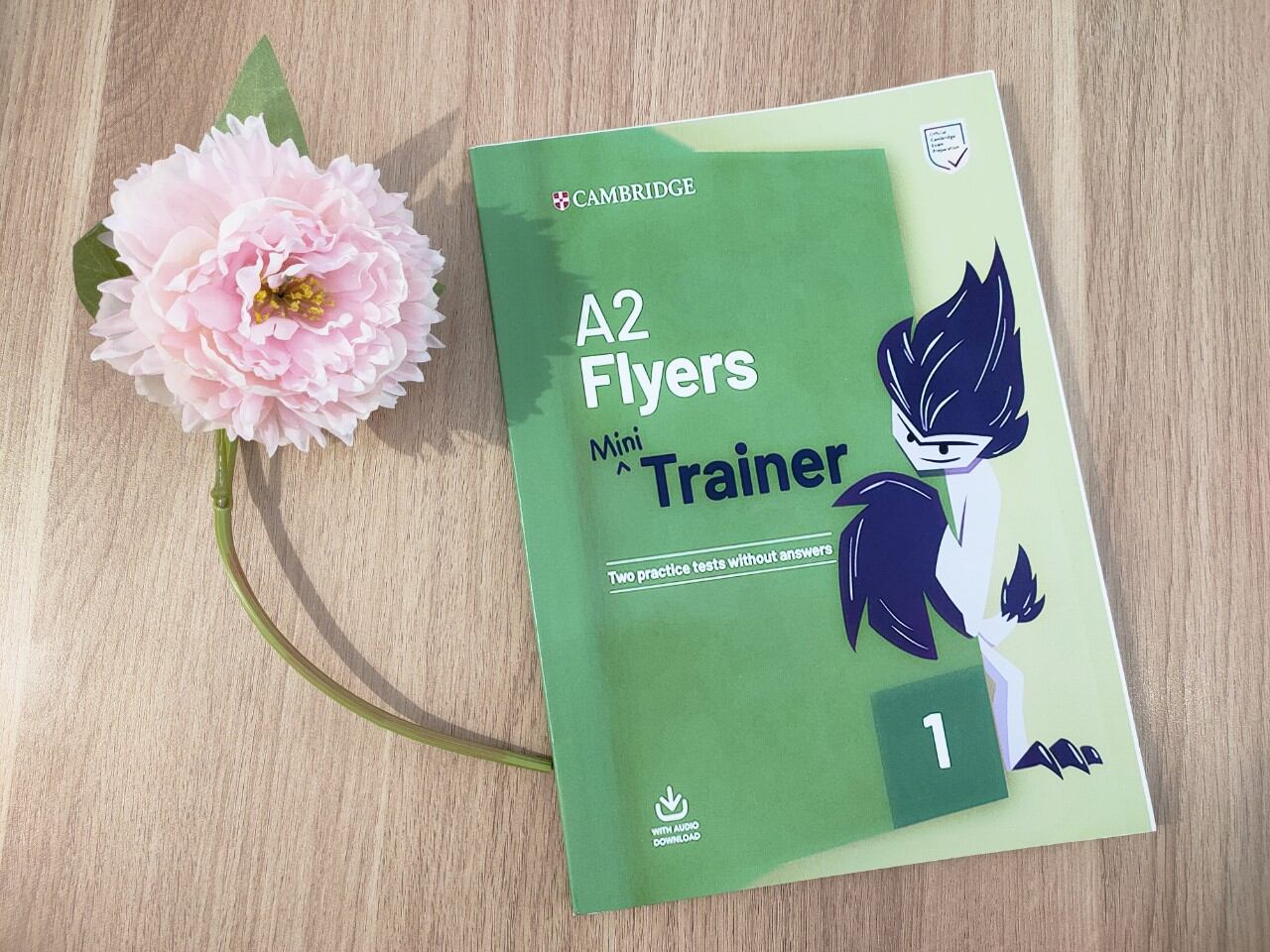 Mini trainer _ a2 flyers