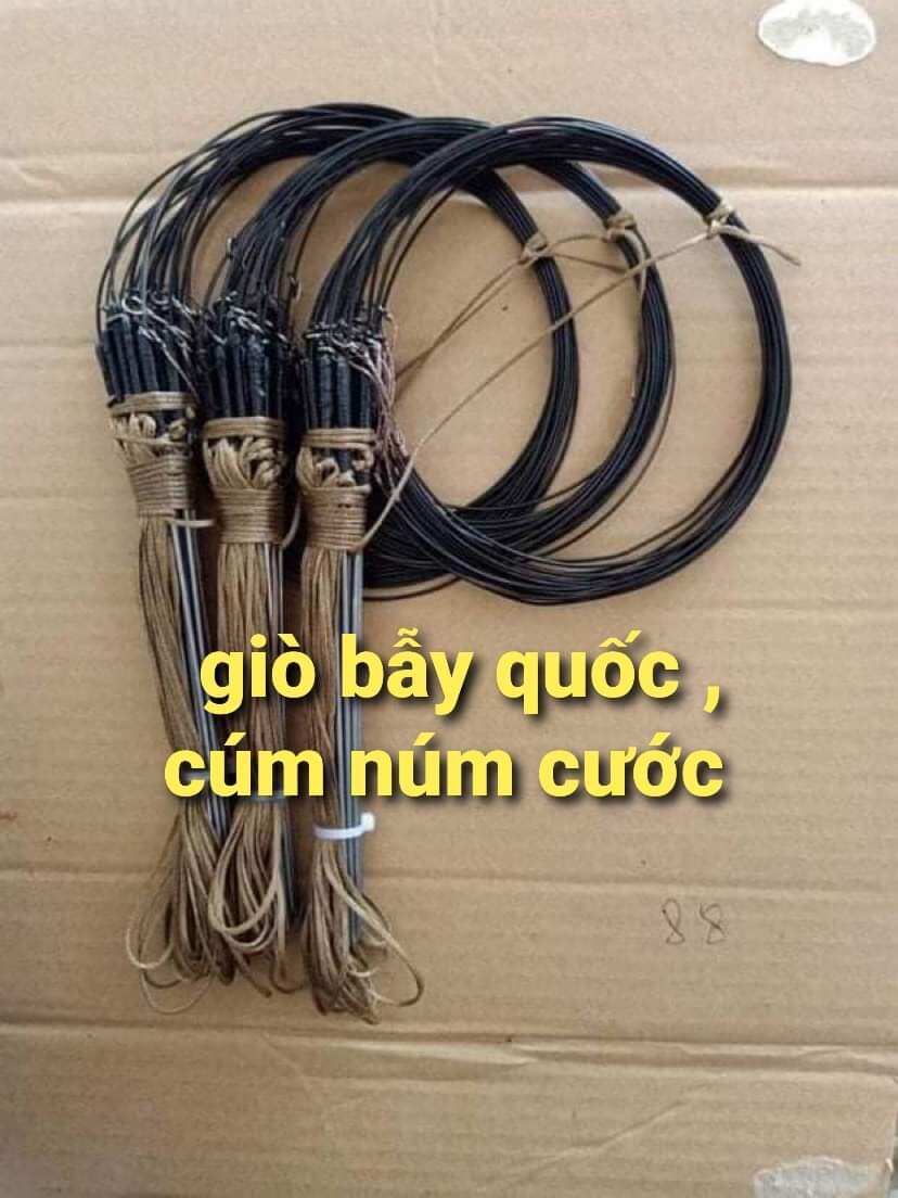 giò cúm núm gà đồng, quốc