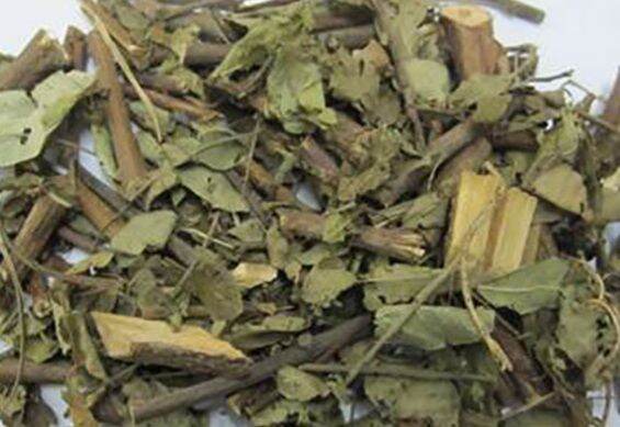 Cây đuôi chồn khô (cây hầu vĩ tóc )