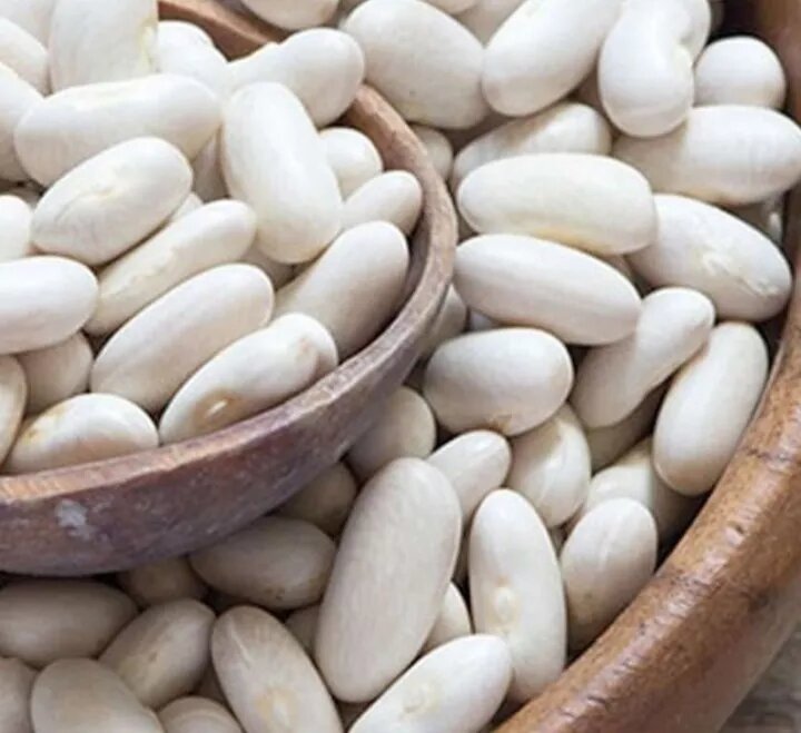 500Gr-1Kg Đậu Trắng Tây( Đậu Thận Trắng )
