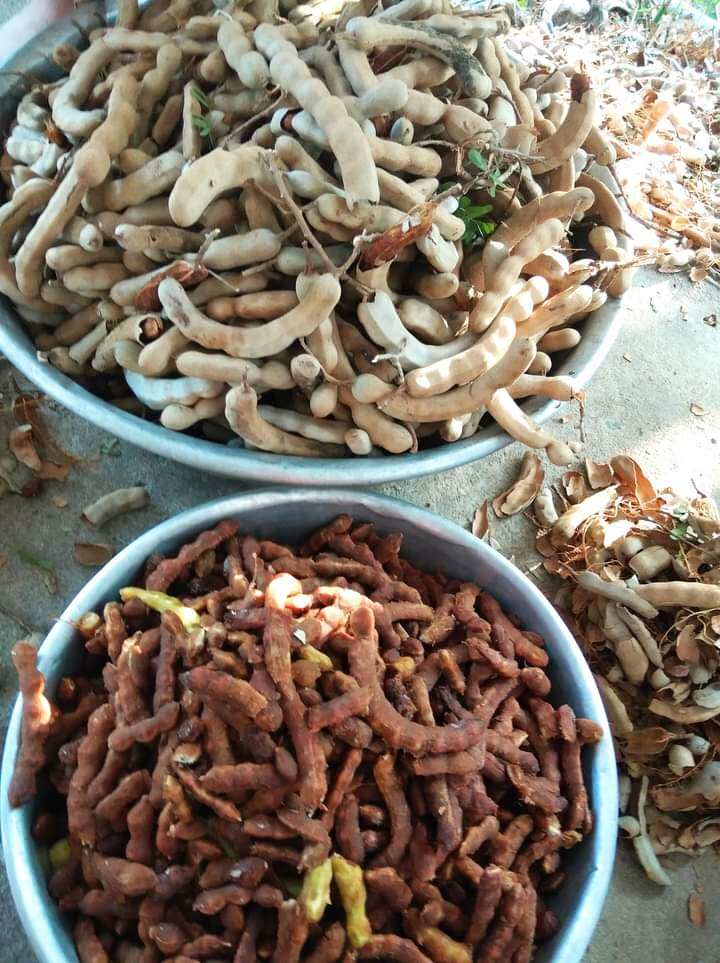 500g me chua lột vỏ