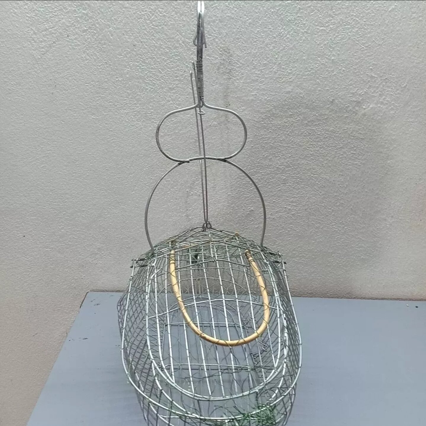 Bẫy chim khuyên, sâu thép tặng cóng