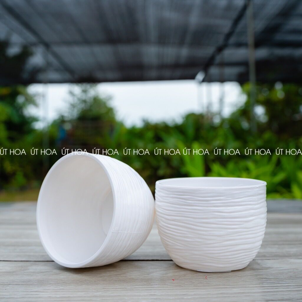 Chậu trồng sen đá Sóng tròn nhỏ (hàng dày)