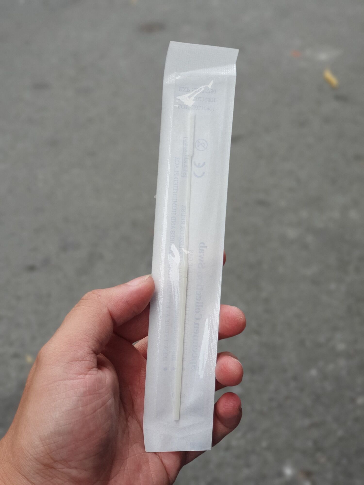 [HCM] QUE TỴ HẦU 50 CÁI