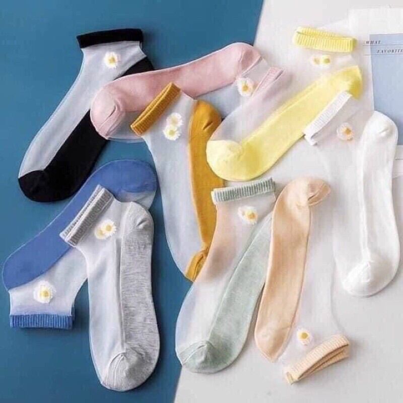 SET 5 ĐÔI VỚ LƯỚI CÚC HOẠ MI