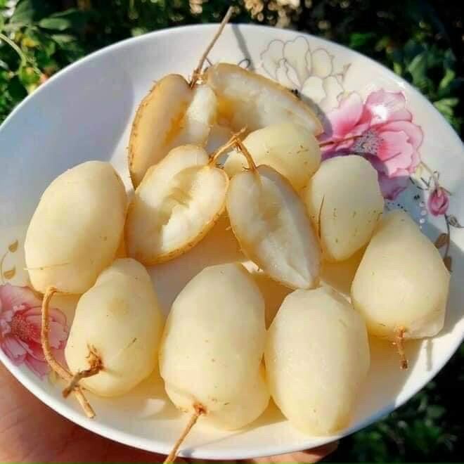 2kg củ lùng ngon, còn sống khách về tự luộc