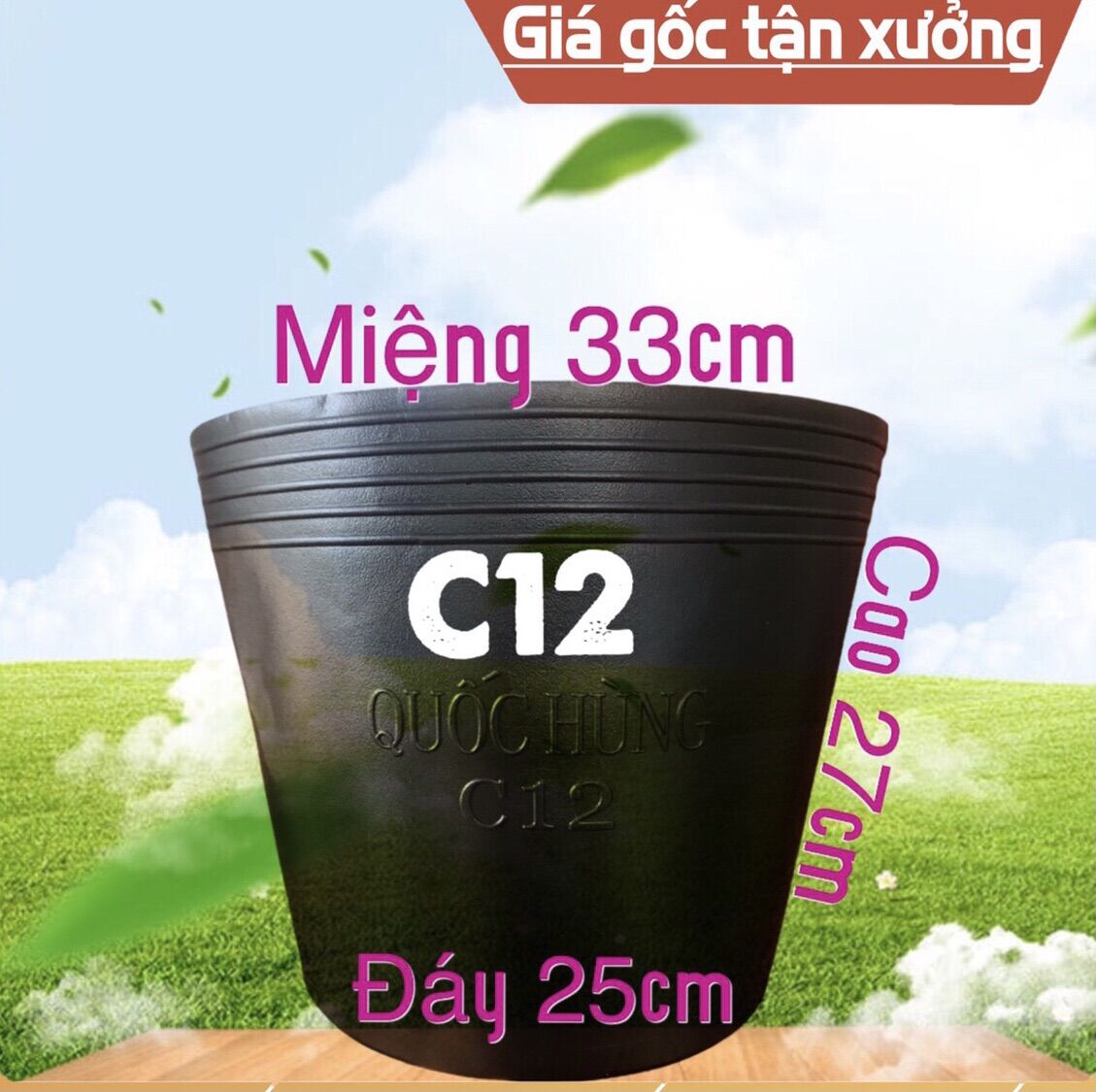 Combo 5 chậu nhựa c12 thương hiệu quốc hùng