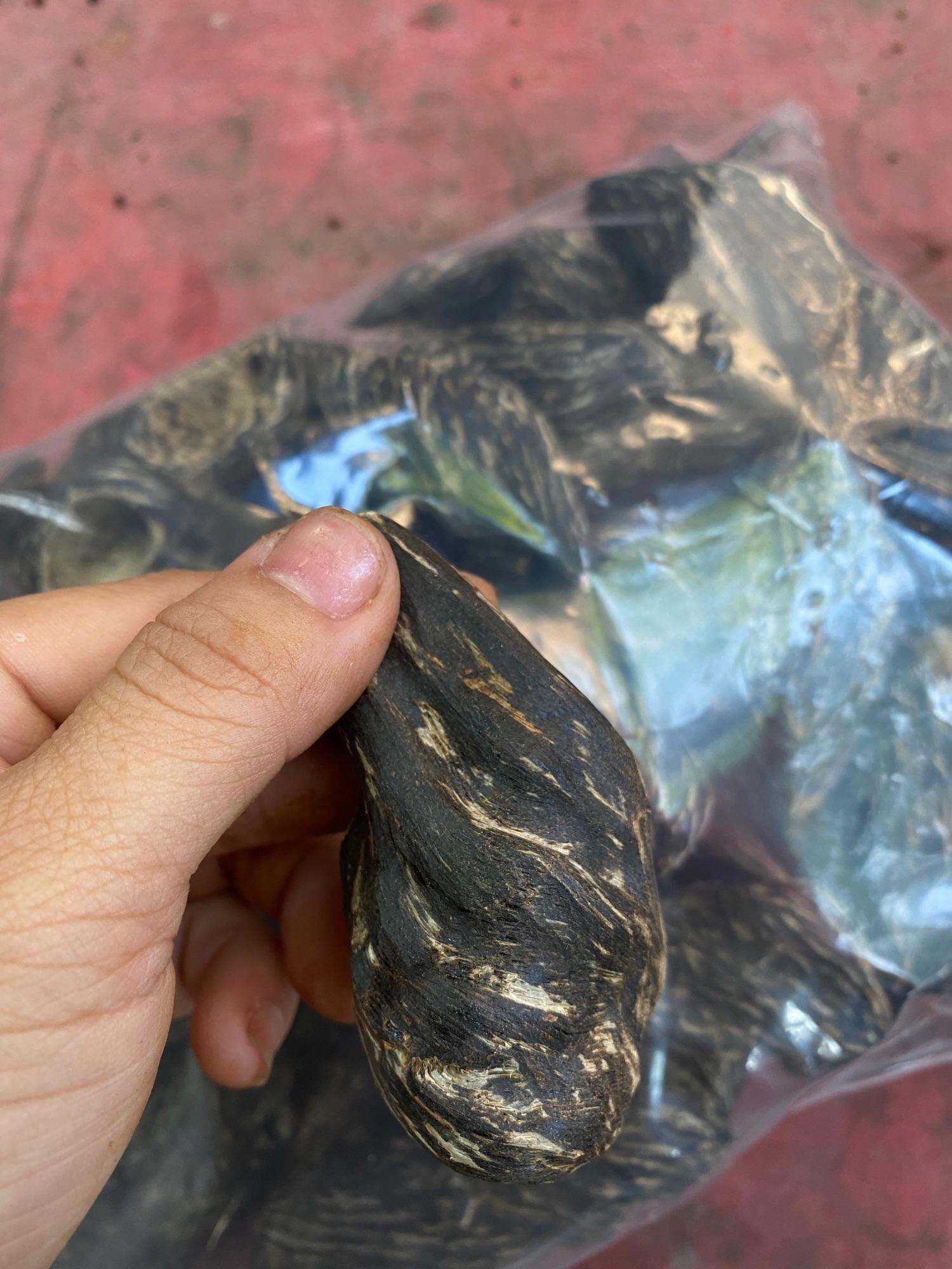 Cục mắc tử trầm phong thủy. Bỏ tủ tiền hoặc làm móc treo chìa khoá