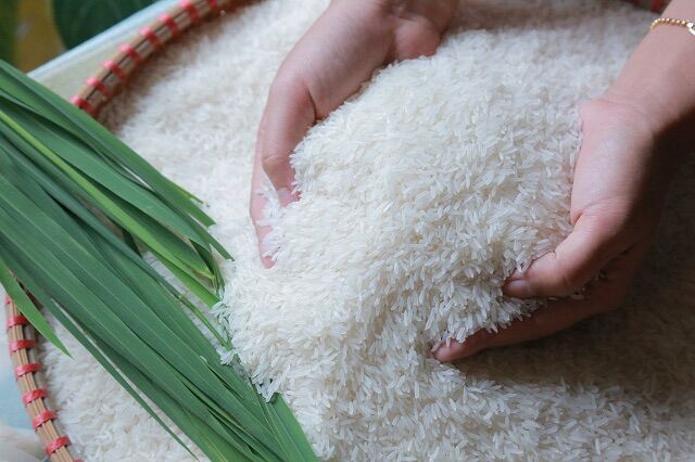 GẠO ST25 ( bịch 10kg ) GẠO NGON NHẤT THẾ GIỚI