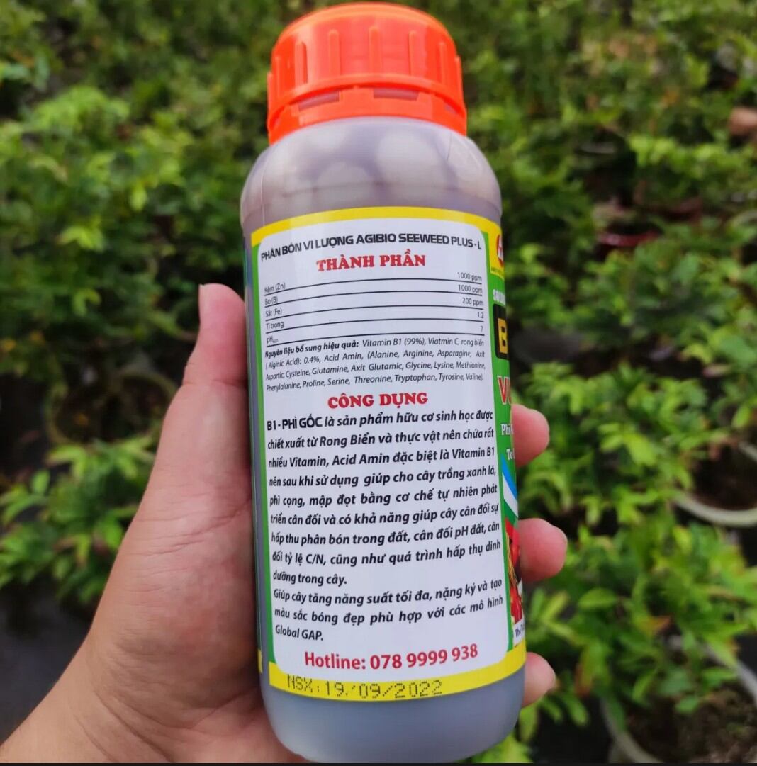 phân bón lá B1 siêu phì gốc vua mập thân mập đọt nở gốc xanh cây