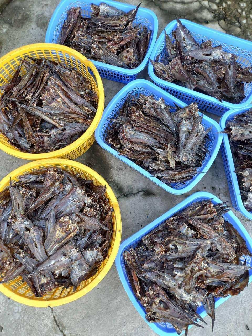 Khô cá thòi lòi-Đặc sản Cà Mau.KL: 500 gr