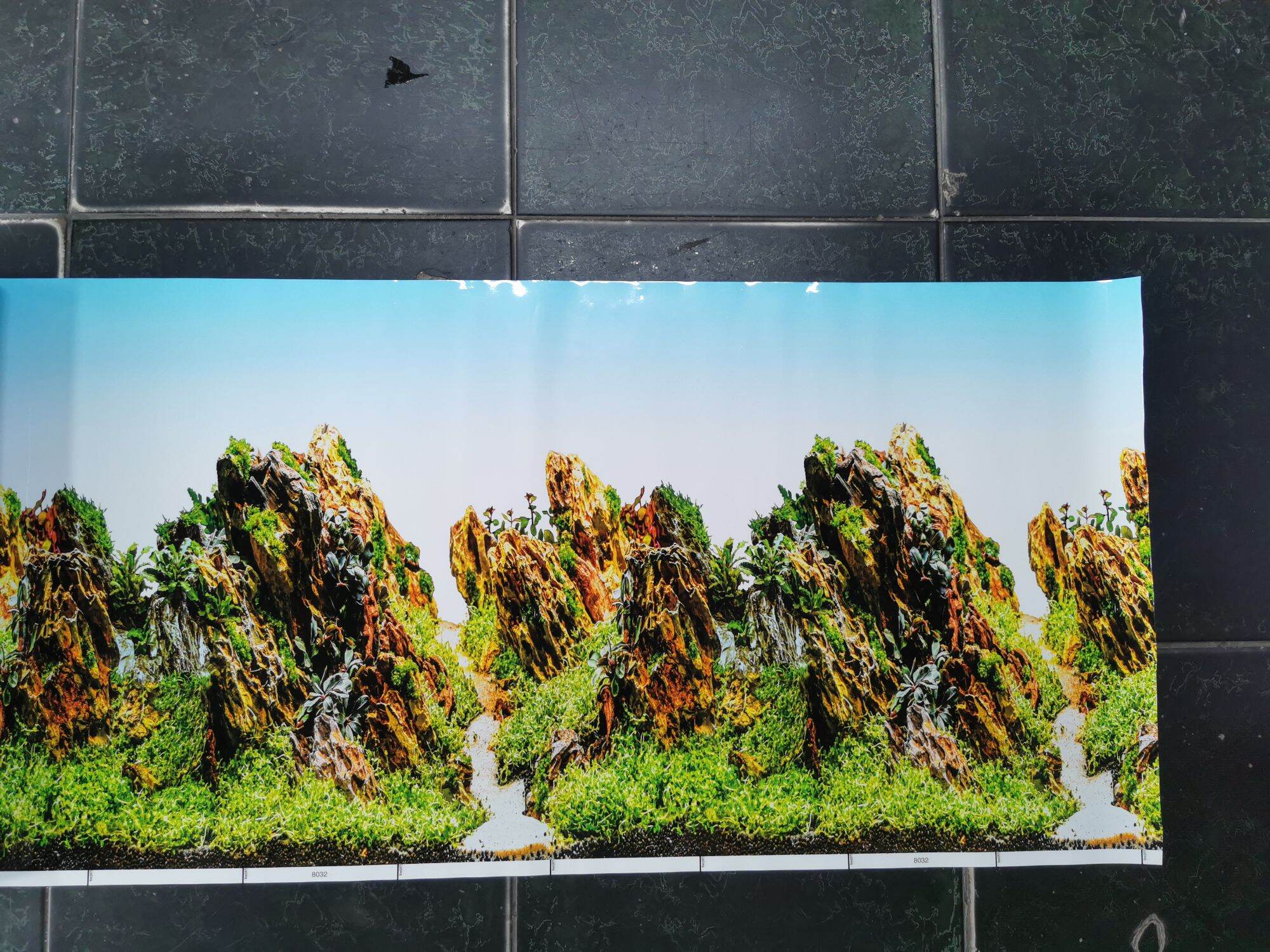 Tranh dán hồ cá cao 40cm x1M