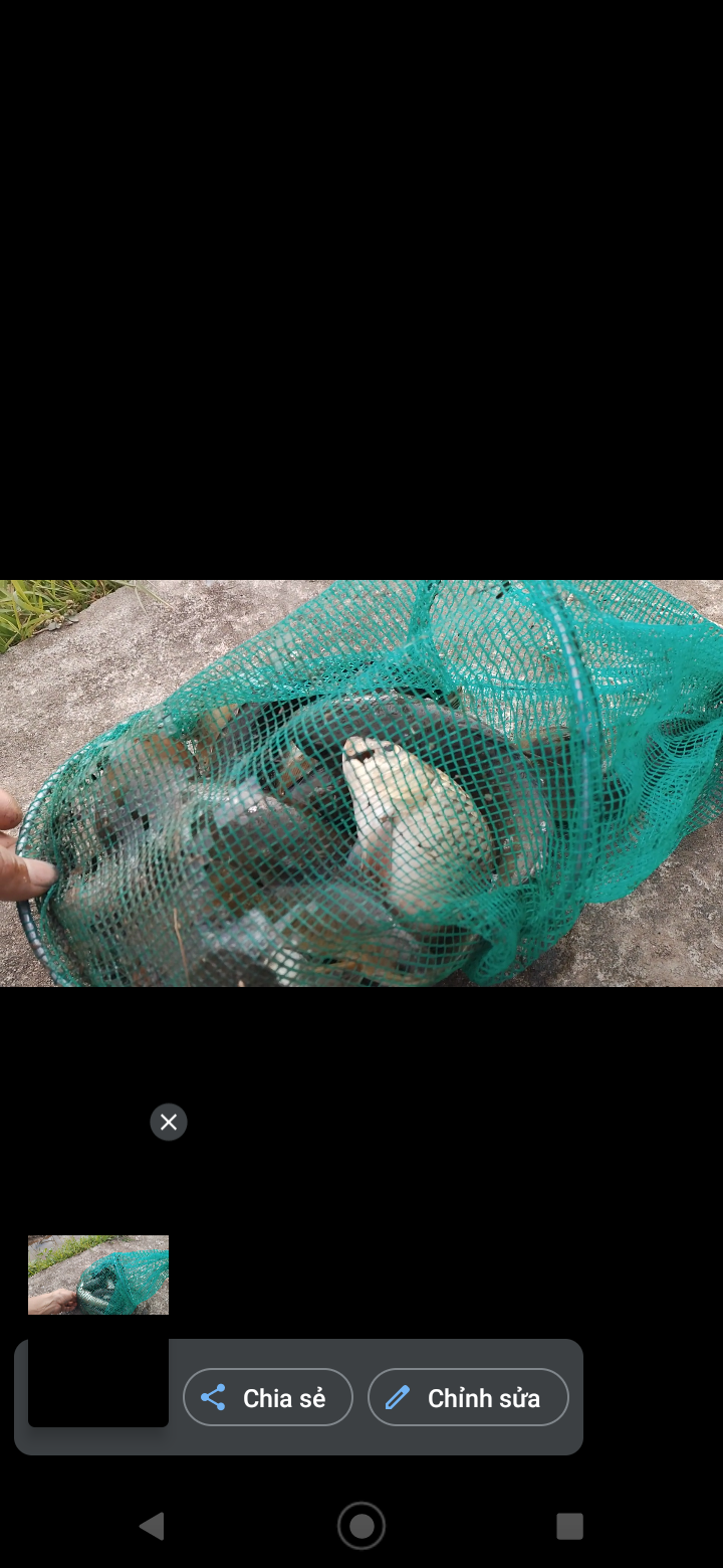 Bags for Shrimp, Crab, Fish, and Fish Nets