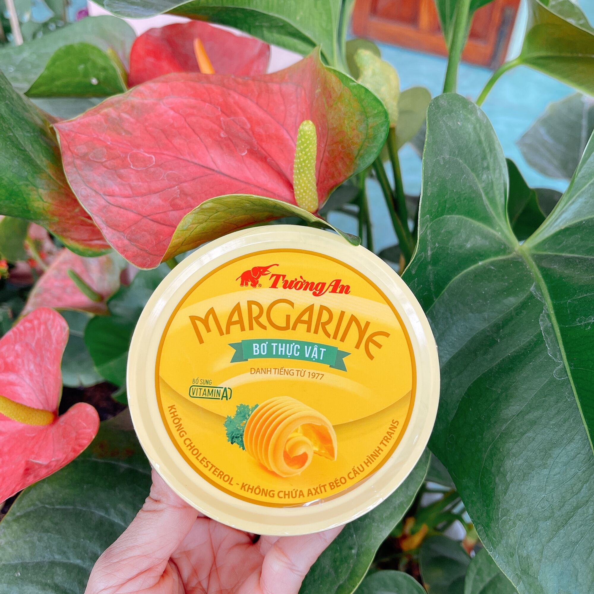 Bơ thực vật Tường An Margarine