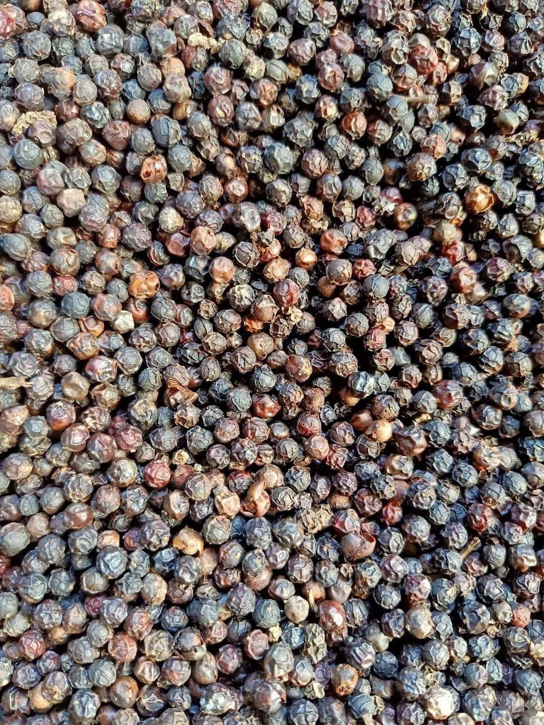 1 Kg tiêu đen loại 1 Lâm Đồng khô sạch