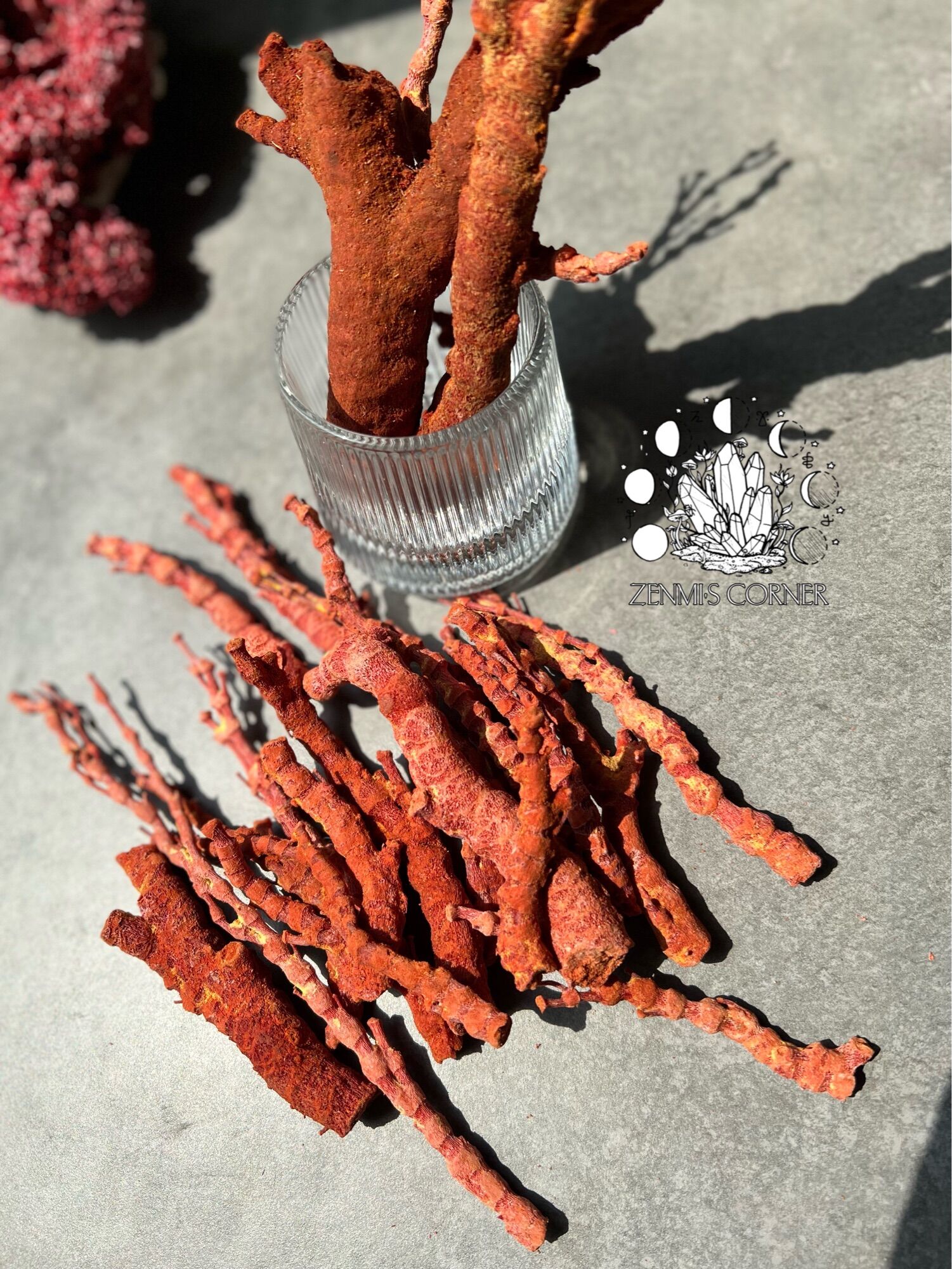 RED CORAL - 100g San Hô Đỏ Tự Nhiên
