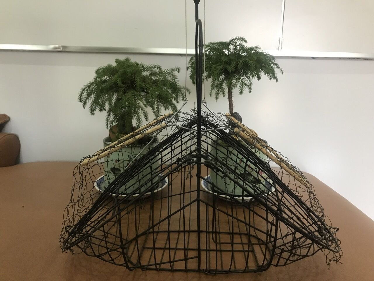 lồng bẫy chim chào mào