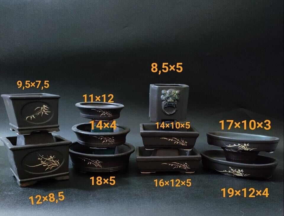 Combo 10 chậu bonsai mini
