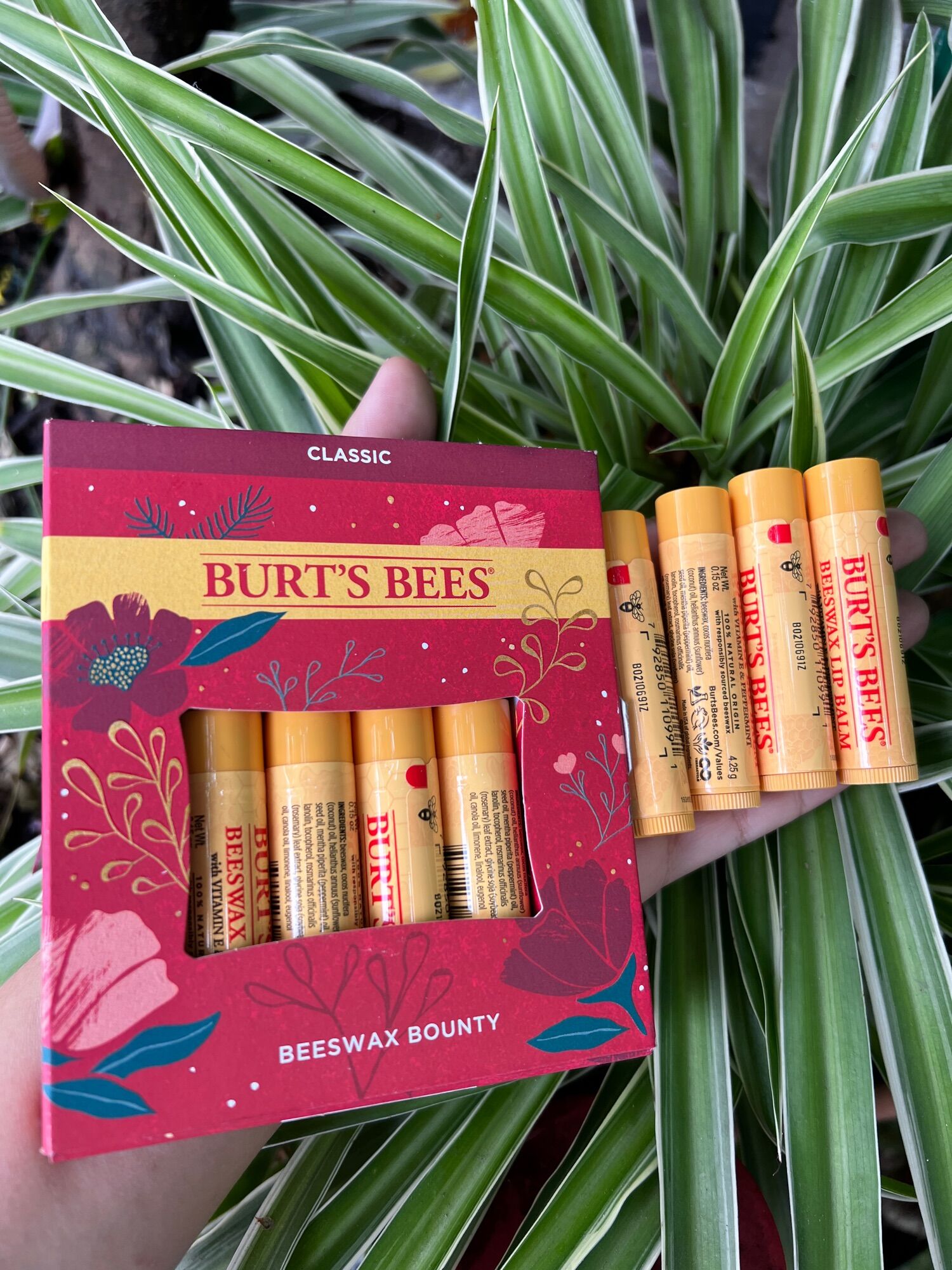 (SỈ GIÁ MĨ) Son dưỡng môi Burt's Bees Natural Lip Balm của Mỹ