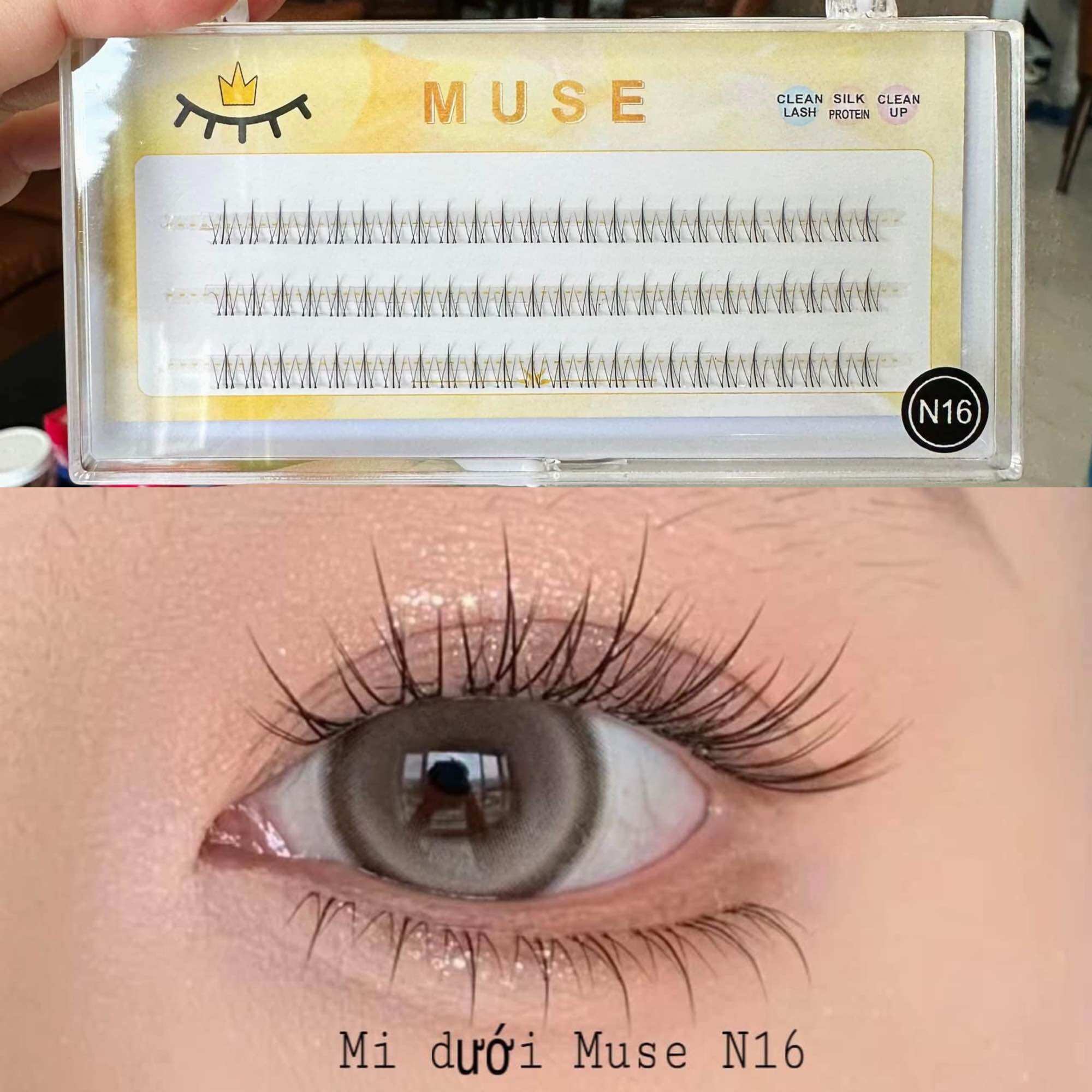 Mi dưới cụm n16