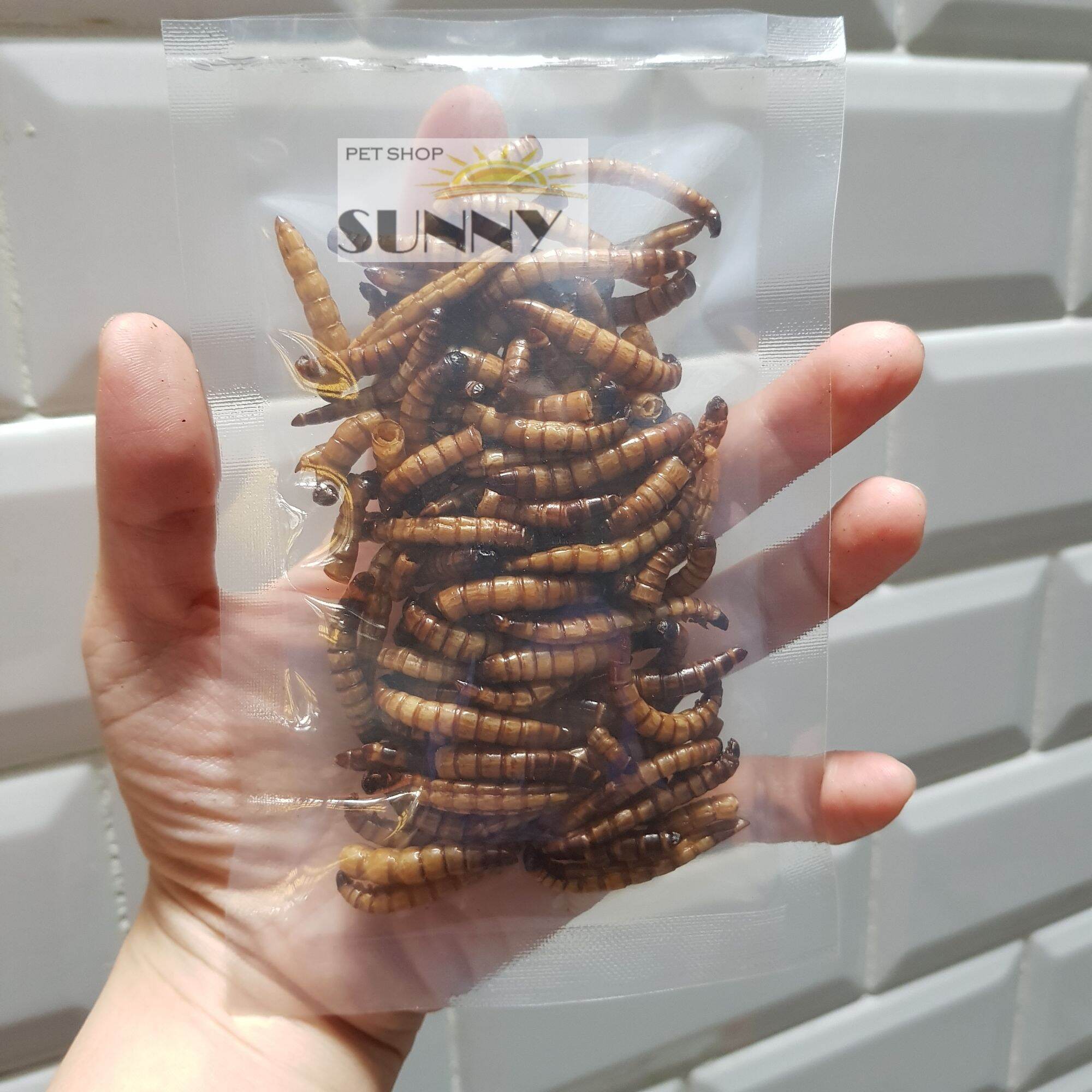 Sâu size đại superworm sấy gói 25g