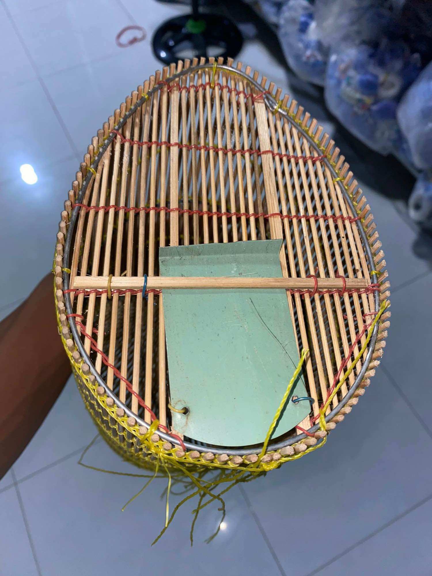 10c lộp đặt tép,cá bóng dừa 15x30