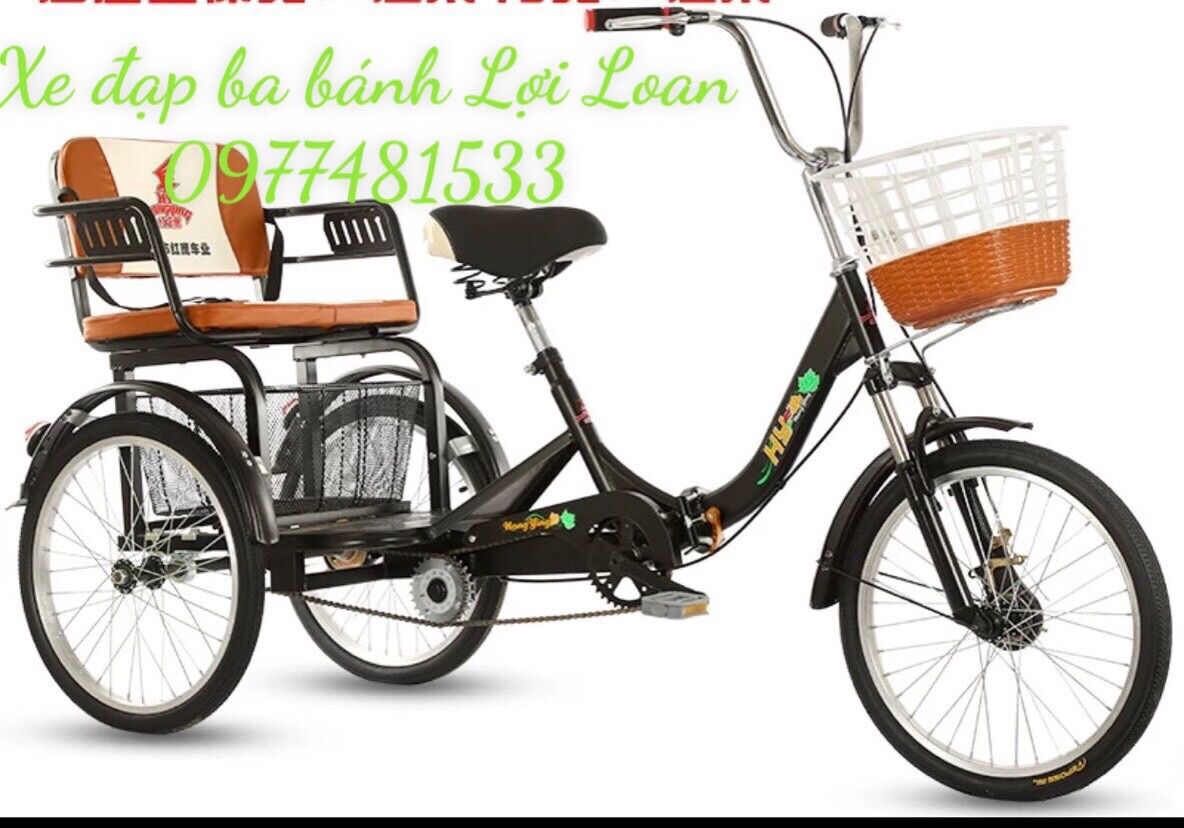 Xe đạp ba bánh cho người già, người khuyết tật, tai biến, phục hồi chức năng