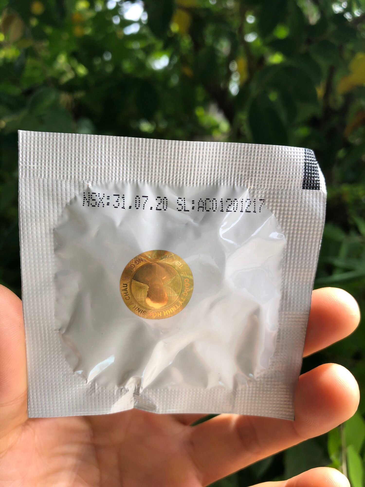 GA3 Mỹ