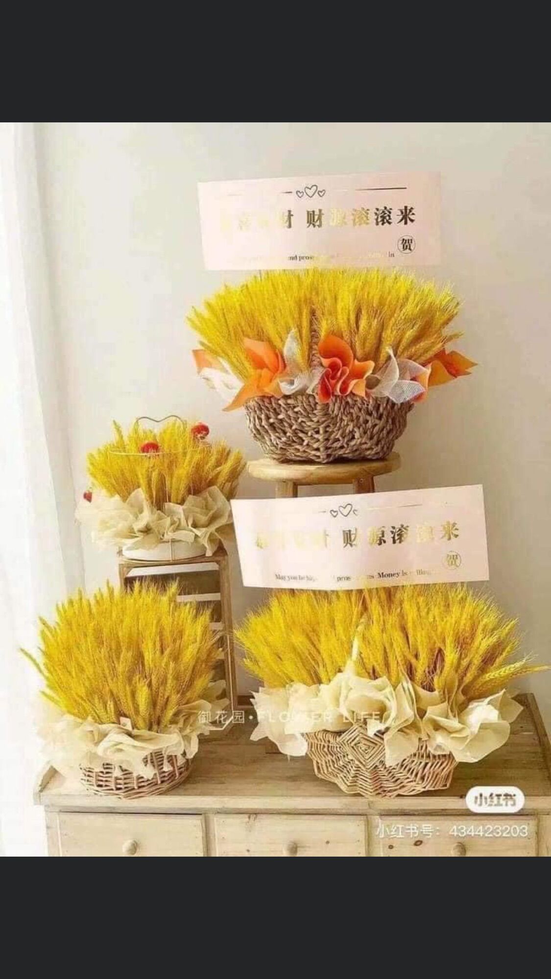 Set 3 bó 300 bông lúa mạch vàng may mắn