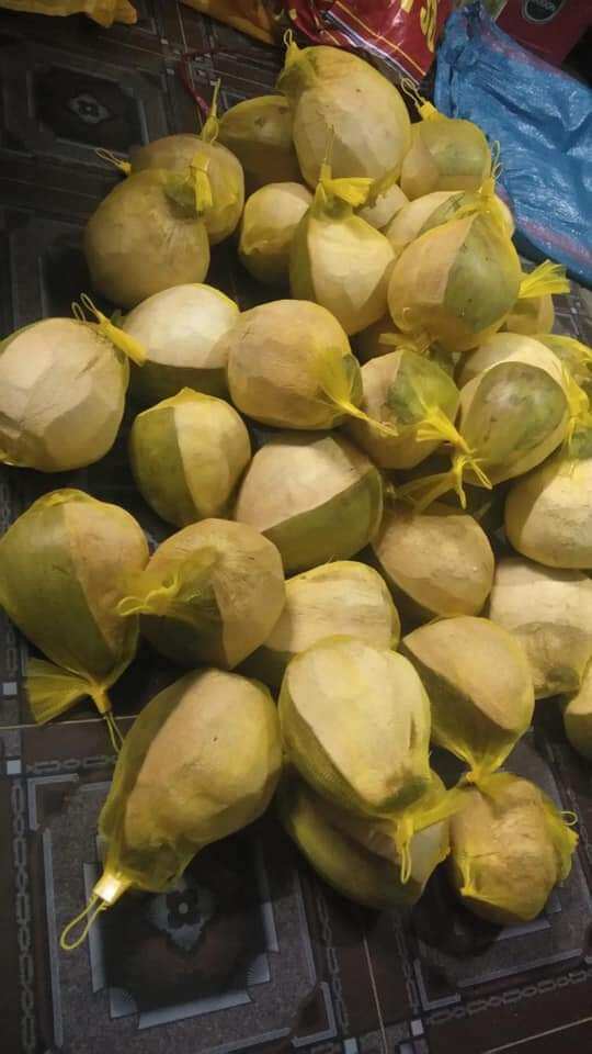 Dừa sáp trái 1kg trở lên bao ngon