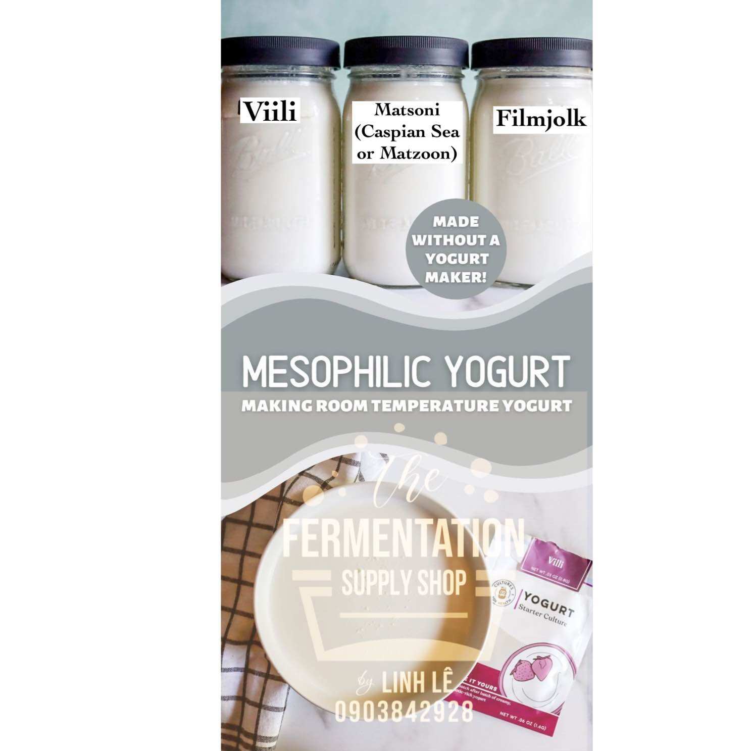 Mesophilic yogurt : milk kefir, viili, matsonimen thuần chay sữa hạt,filmjolk