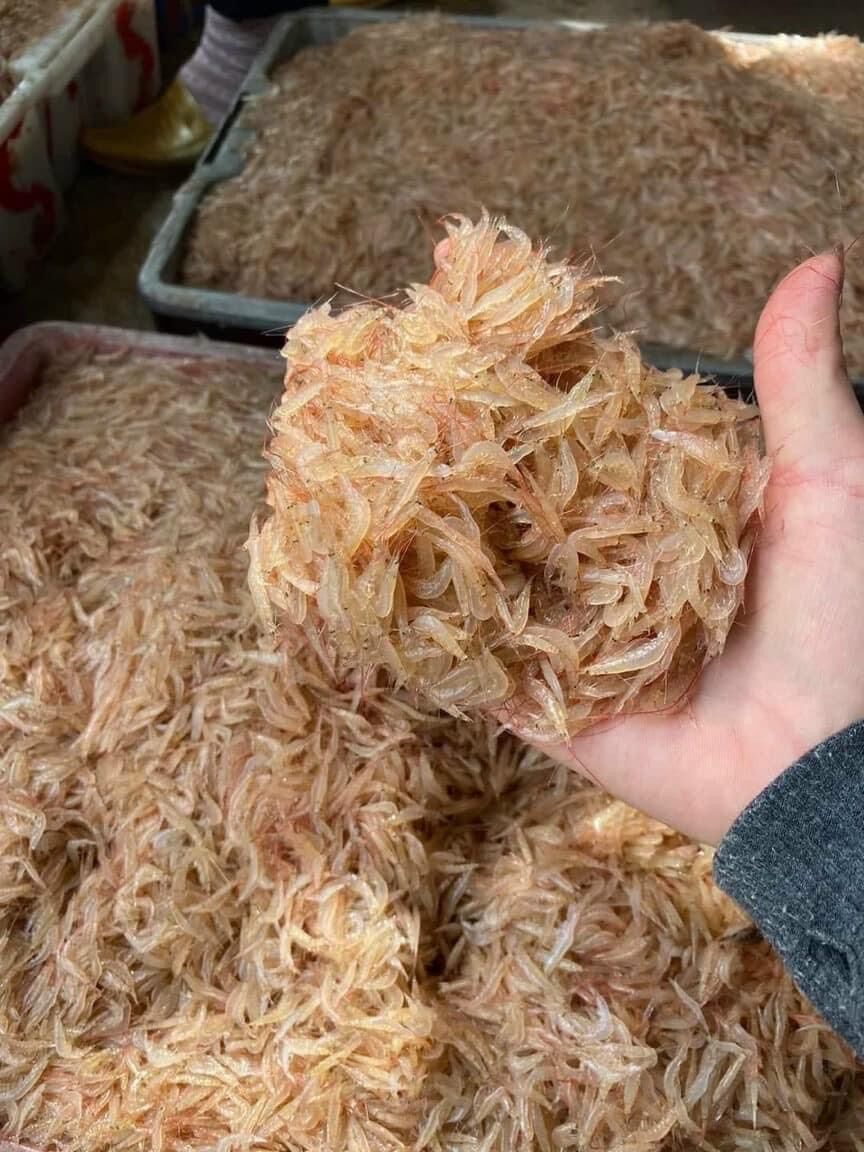 1kg ruốc biển tươi