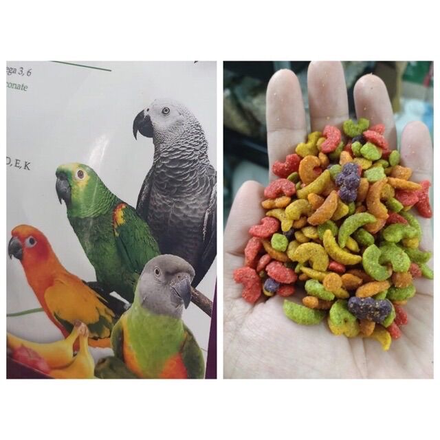 [HCM]Hạt zum / hạt trái cây vẹt lớn 500g