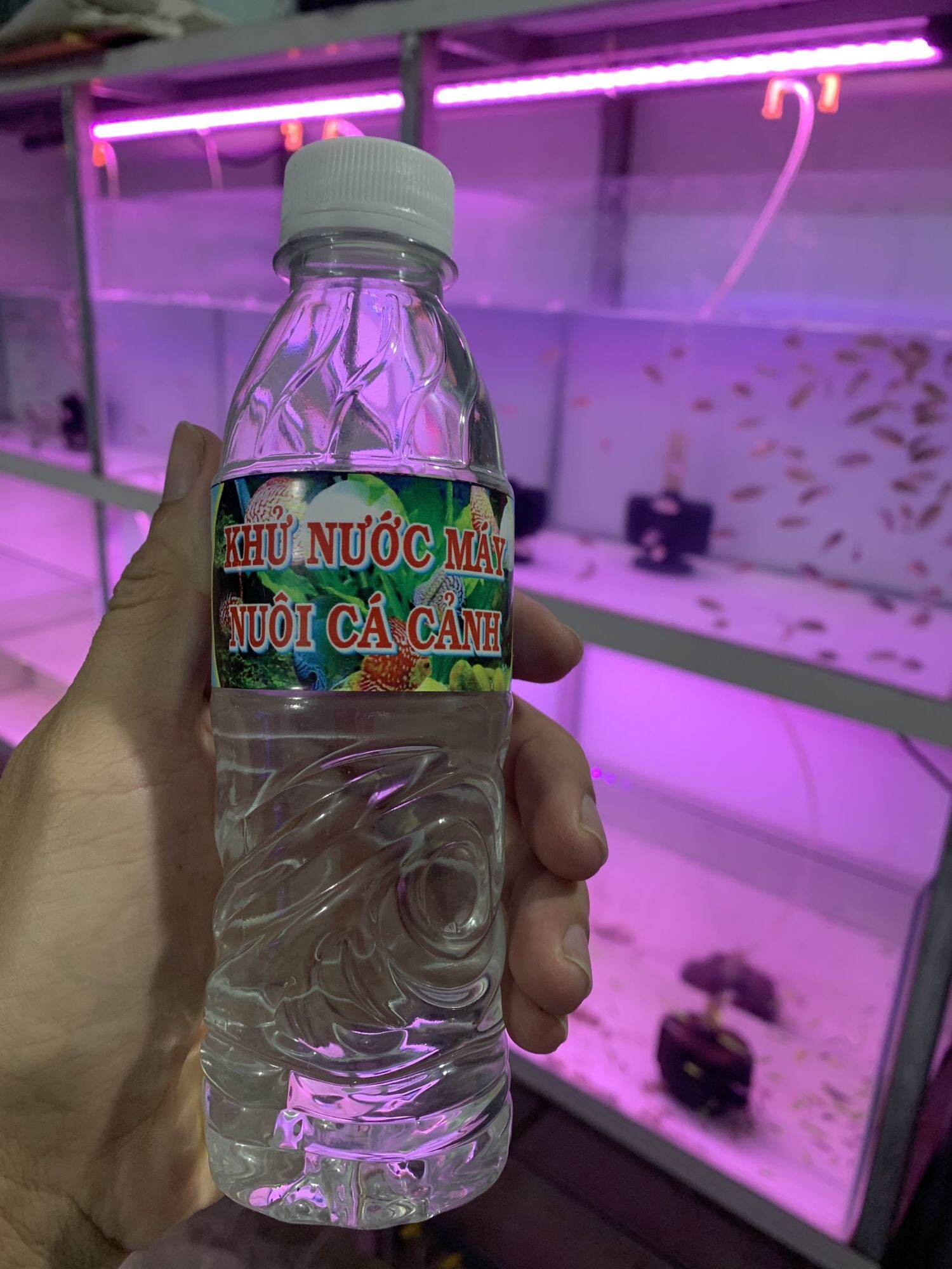 Khử nước máy nuôi cá cảnh