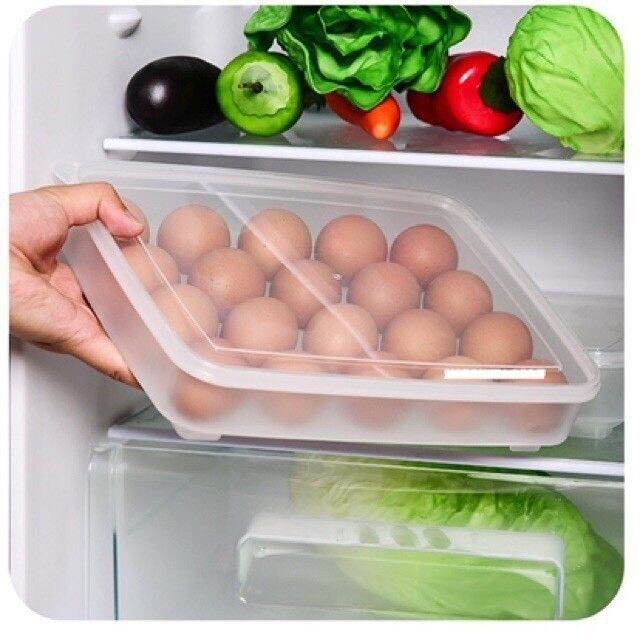 HỘP ĐỰNG TRỨNG 24 QUẢ VIỆT NHẬT