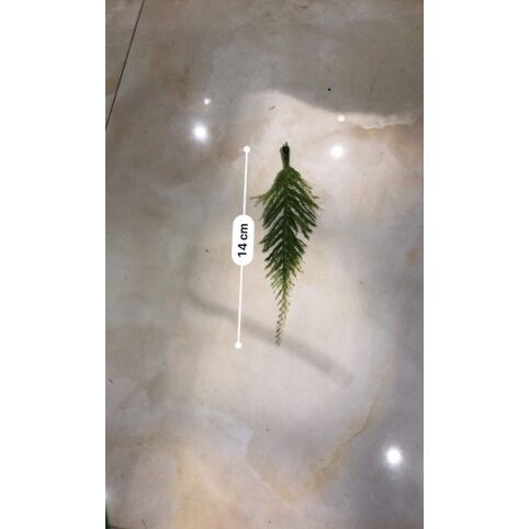 100gram( 1 lạng) cỏ điểm trang trí_hoa giả, hoa lụa
