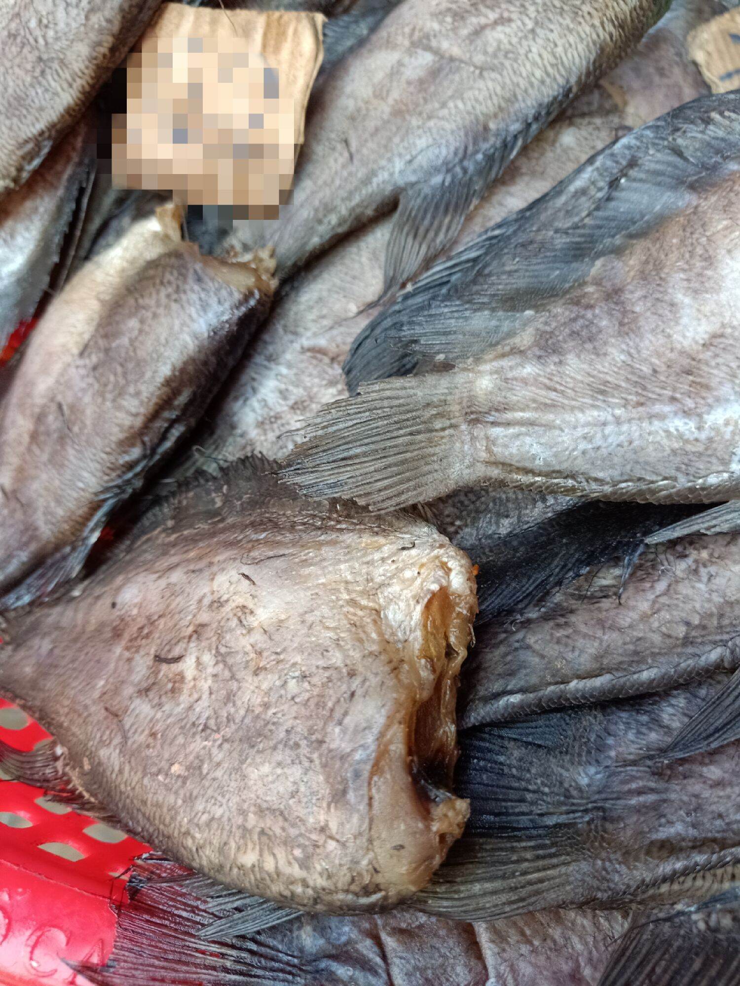 Khô cá lò tho ( cá sặc)-400g