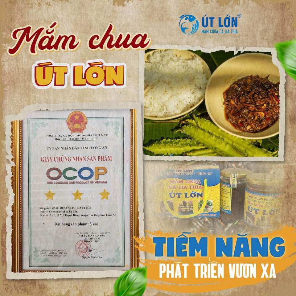 Mắm chua cá lia thia - Thương hiệu Út Lớn - Sản phẩm OCOP - Không ngọt, không mặn - Date 90 ngày