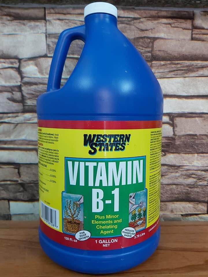 Liquinox Vitamin B1 1 gallon