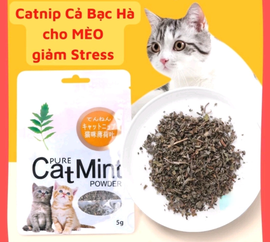 [Q12]Cỏ bạc hà Catnip / catmin cho mèo gói 5g